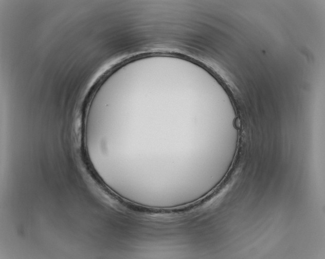 X0000112161126200908070933