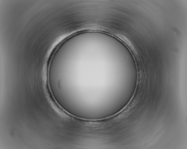 X0000112161128200908070933