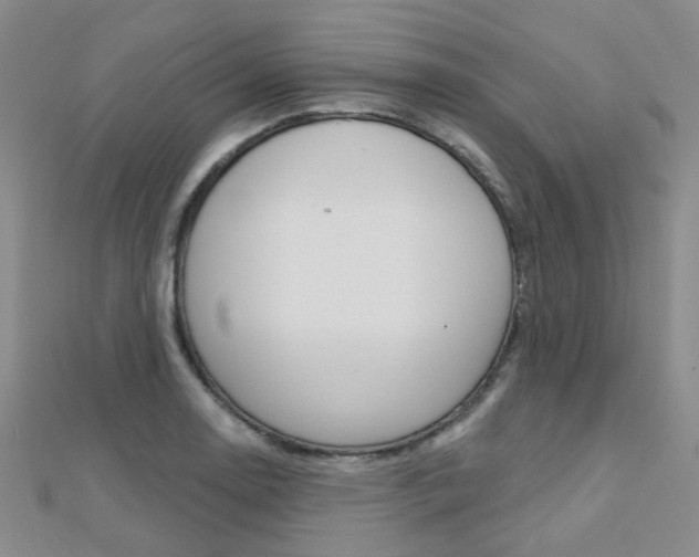 X0000112161130200908070933
