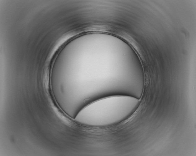 X0000112161131200908070933
