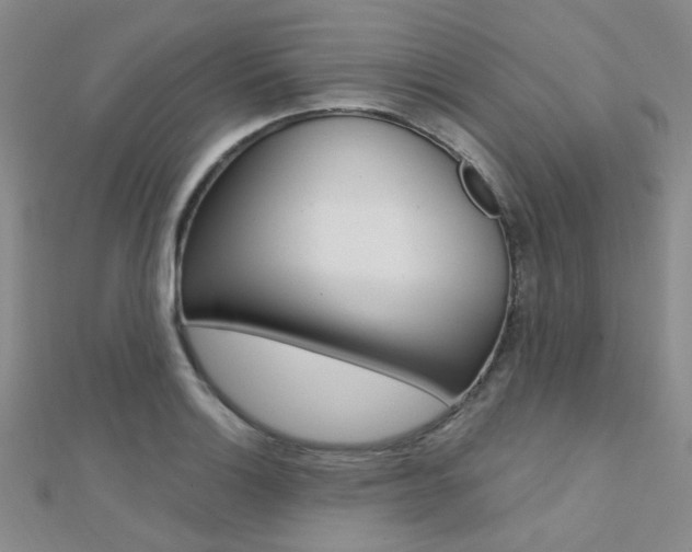 X0000112161132200908070933
