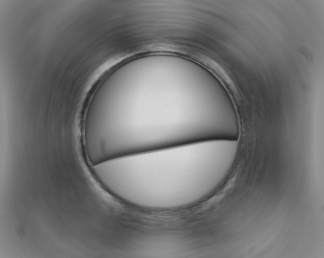 X0000112161133200908070933