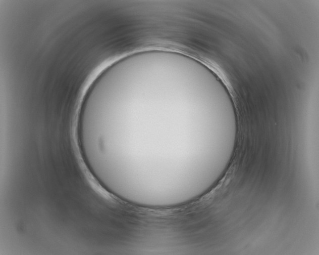 X0000112161136200908070933
