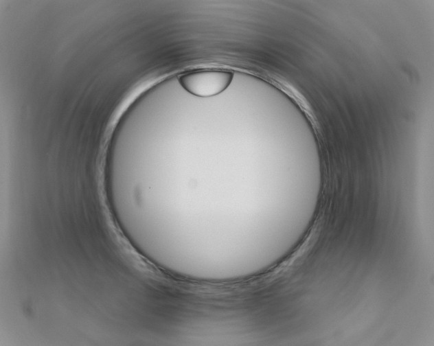 X0000112161138200908070933