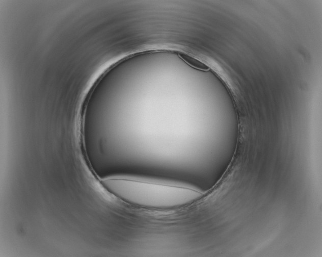X0000112161140200908070933