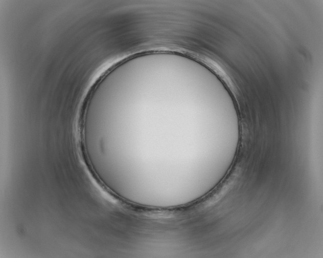 X0000112161141200908070933