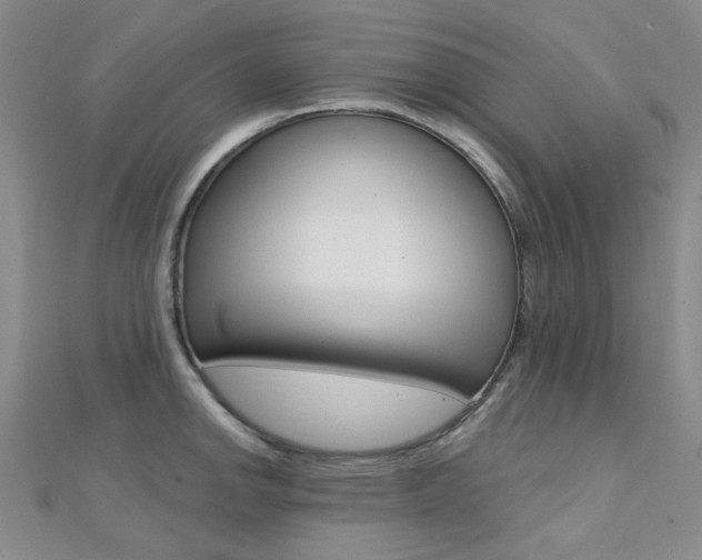 X0000112161142200908070933