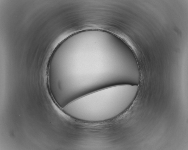 X0000112161143200908070933