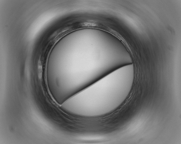 X0000112161151200908070933