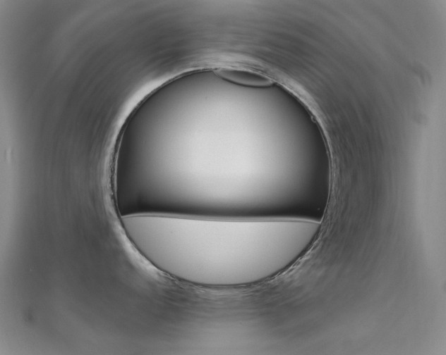 X0000112161152200908070933