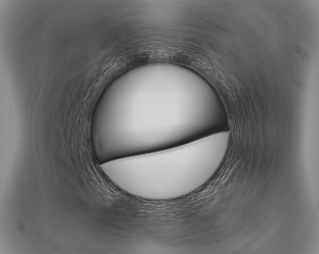 X0000112161153200908070932