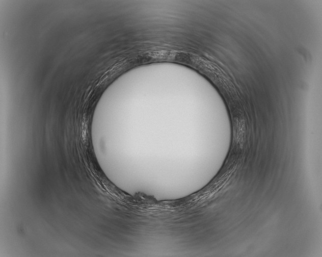 X0000112161154200908070932