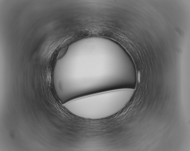 X0000112161155200908070932