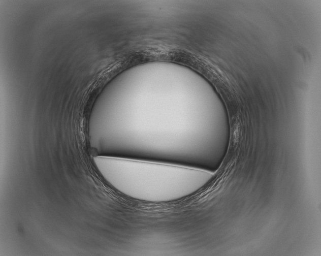 X0000112161156200908070932