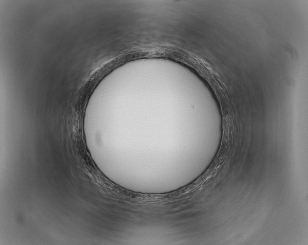 X0000112161158200908070932