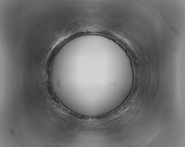 X0000112161160200908070932