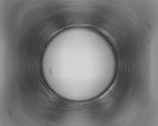 X0000112161161200908070932