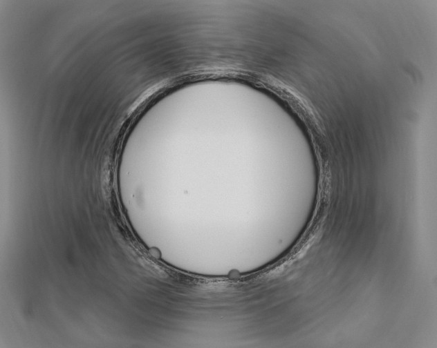 X0000112161162200908070932