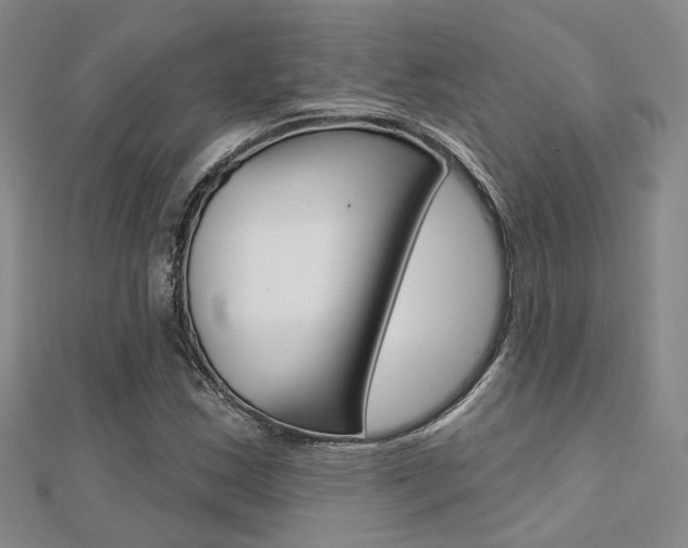 X0000112161163200908070932
