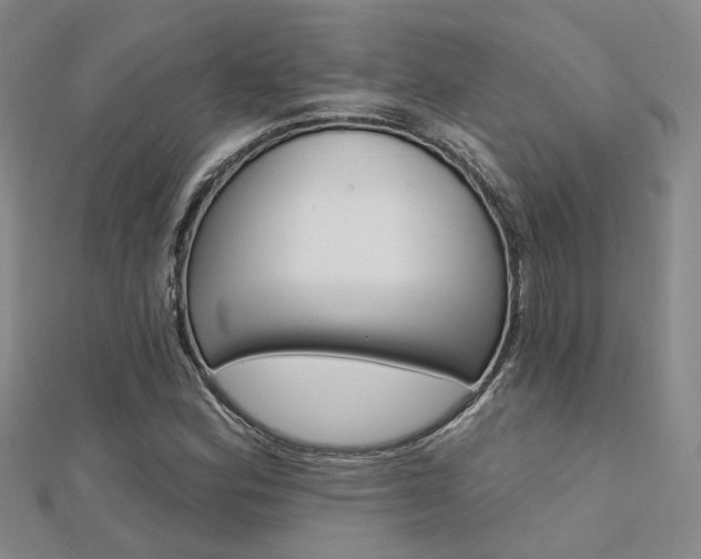 X0000112161164200908070932