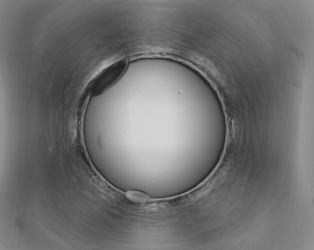X0000112161165200908070932