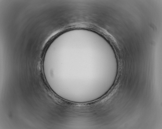 X0000112161166200908070932