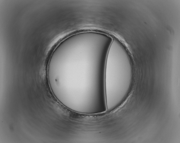 X0000112161167200908070932
