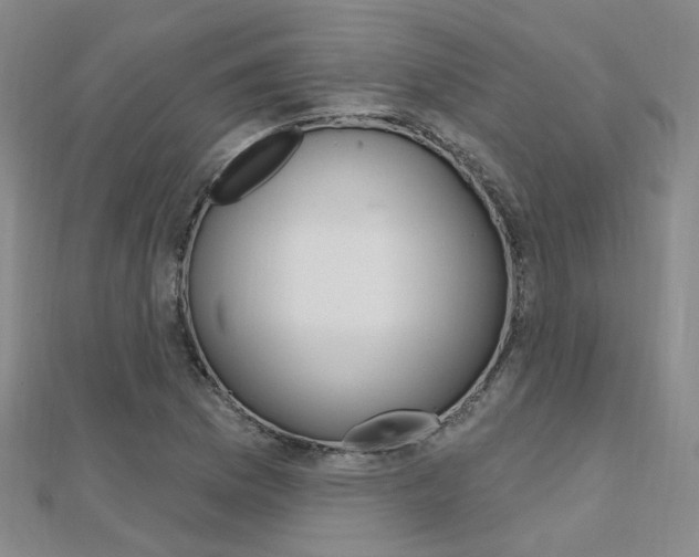 X0000112161169200908070932