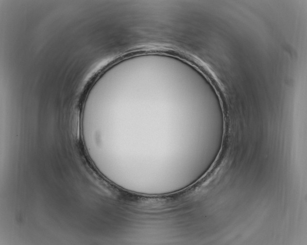 X0000112161171200908070932