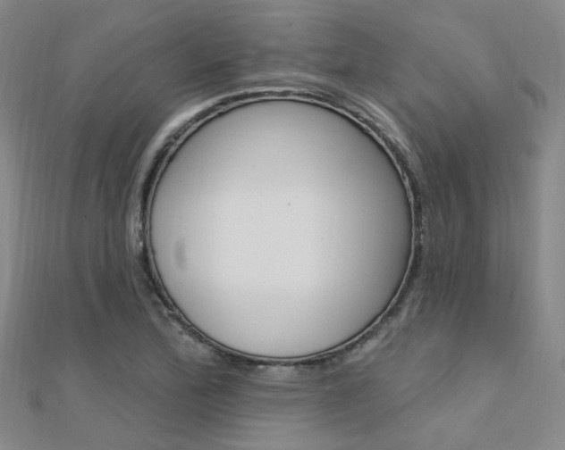 X0000112161172200908070932