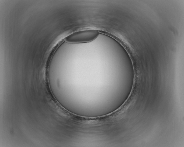 X0000112161173200908070932