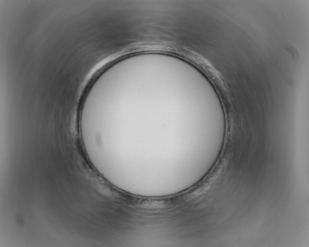 X0000112161174200908070932