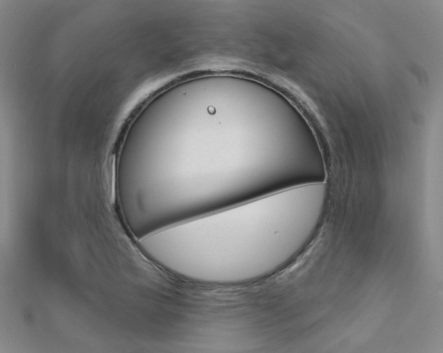 X0000112161175200908070932