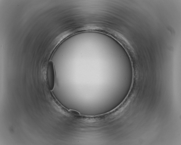 X0000112161177200908070932