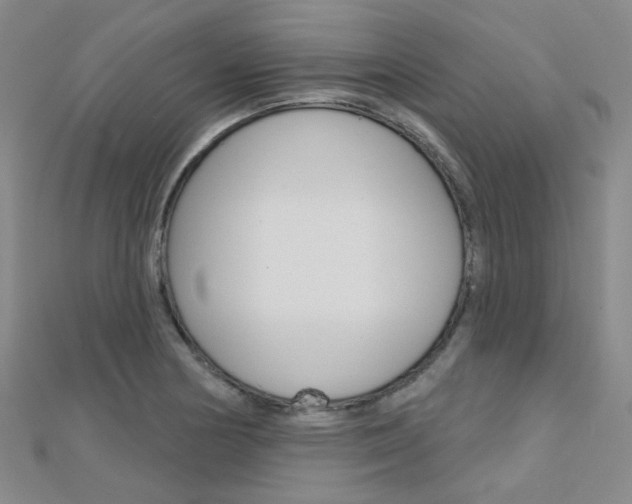 X0000112161178200908070932