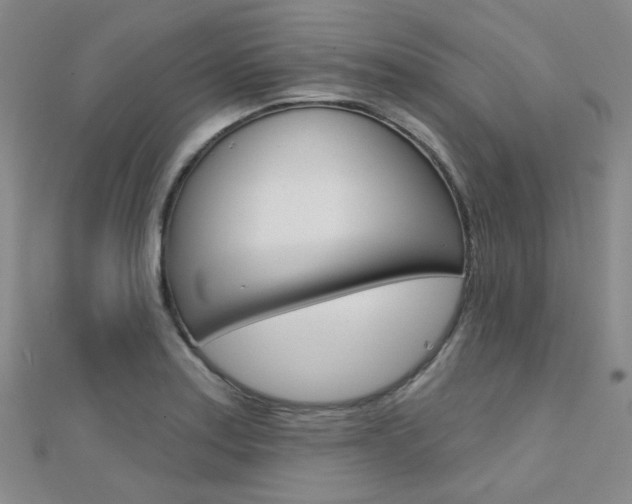 X0000112161179200908070932