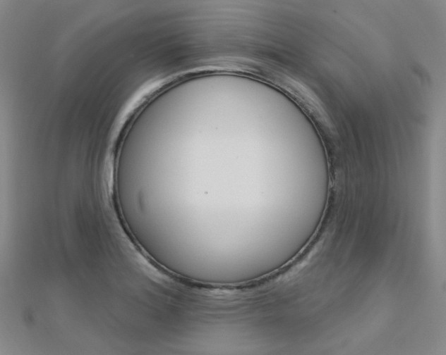 X0000112161180200908070932