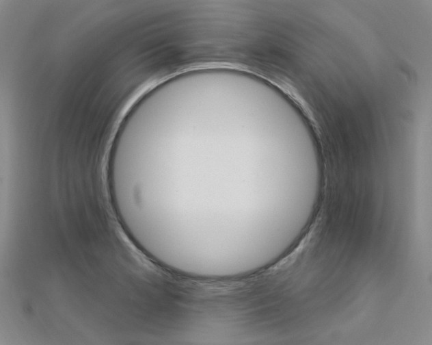 X0000112161181200908070932