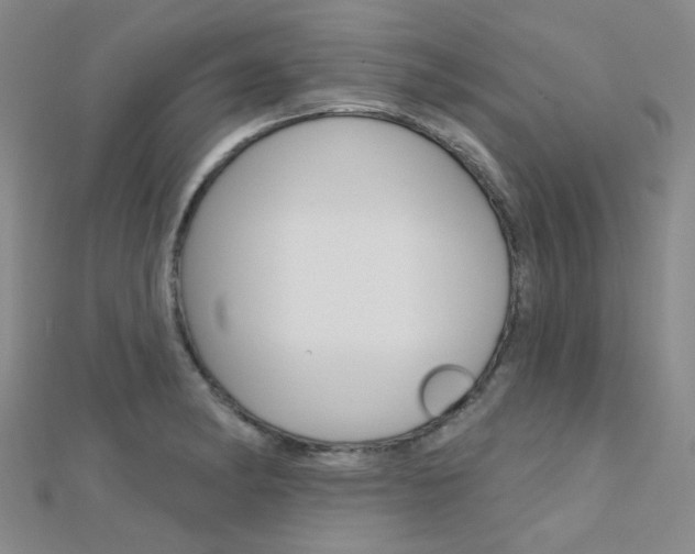 X0000112161182200908070932