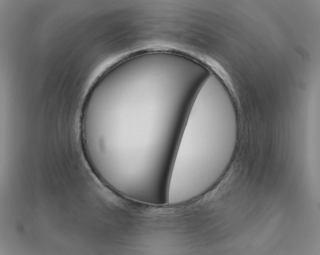 X0000112161183200908070932