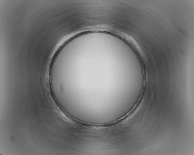 X0000112161184200908070932