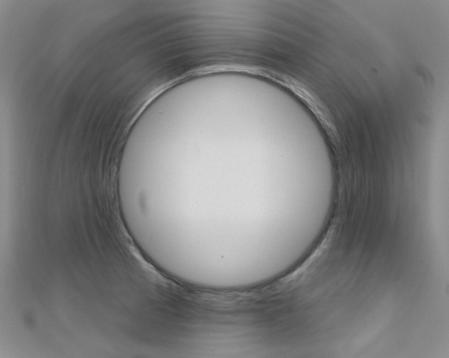 X0000112161185200908070932