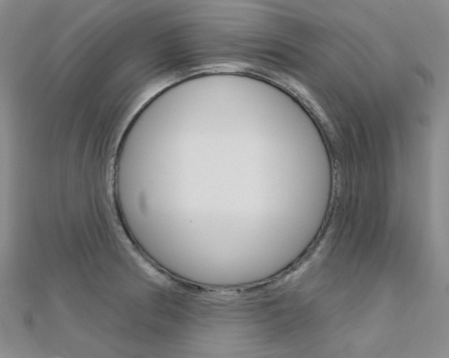 X0000112161186200908070932