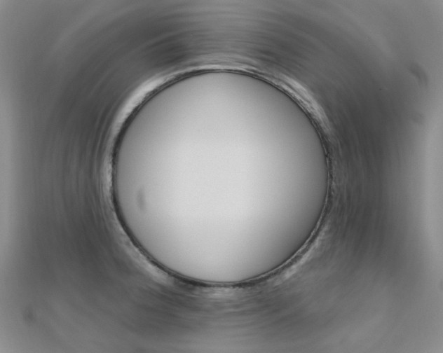 X0000112161188200908070932