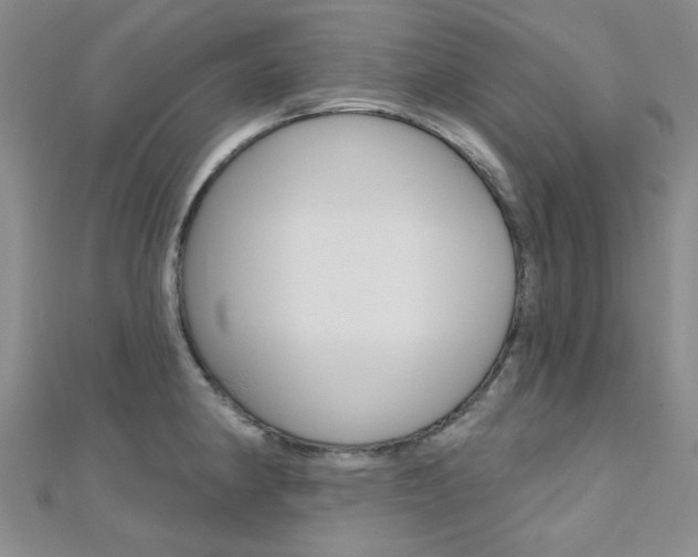 X0000112161190200908070932