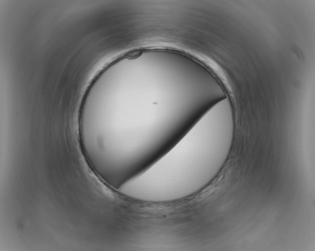 X0000112161191200908070932