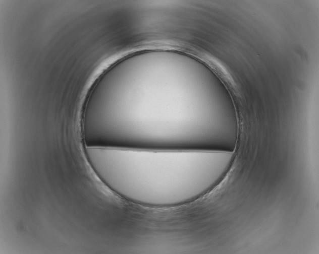 X0000112161192200908070932