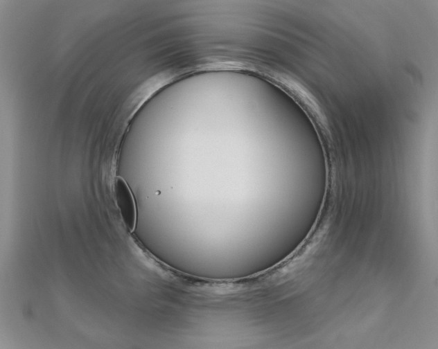 X0000112161193200908070932