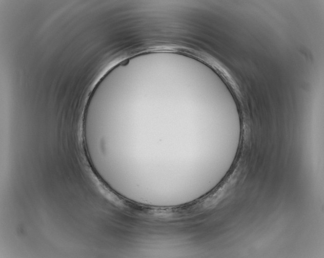 X0000112161194200908070932