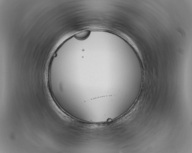 X0000112161195200908070932